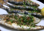Grilled sardines at Can Maño, Barceloneta, Barcelona - A Barcelona food blog